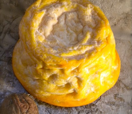 Langres il formaggio dello Champagne Langres il formaggio dello Champagne