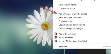 Come riattivare pulsante “Visualizza immagine” su Google Immagini Come riattivare pulsante “Visualizza immagine” su Google Immagini