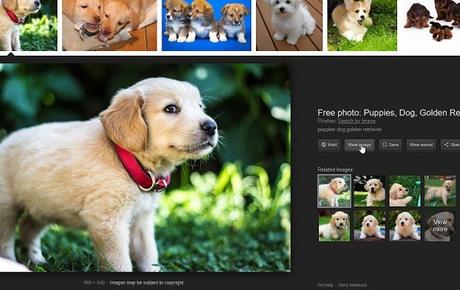 Come riattivare pulsante “Visualizza immagine” su Google Immagini Come riattivare pulsante “Visualizza immagine” su Google Immagini