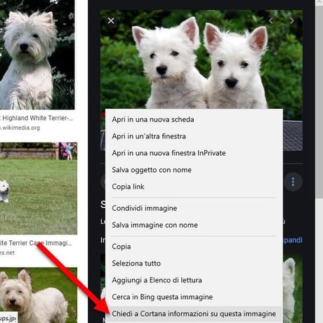 Come riattivare pulsante “Visualizza immagine” su Google Immagini Come riattivare pulsante “Visualizza immagine” su Google Immagini