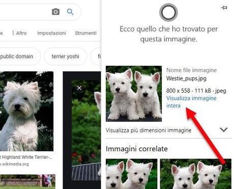 Come riattivare pulsante “Visualizza immagine” su Google Immagini Come riattivare pulsante “Visualizza immagine” su Google Immagini