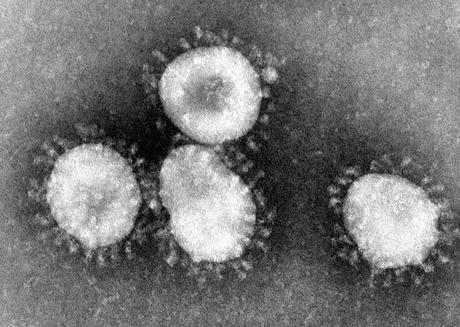 Cosa sappiamo sul Coronavirus (2019-nCoV) al netto di Bufale e pseudoscienza Cosa sappiamo sul Coronavirus (2019-nCoV) al netto di Bufale e pseudoscienza
