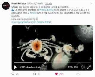 Le inchieste di Presadiretta – il nostro polmone blu Le inchieste di Presadiretta – il nostro polmone blu