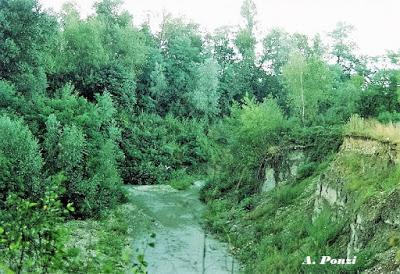 Il Parco Regionale dello Stirone Il Parco Regionale dello Stirone