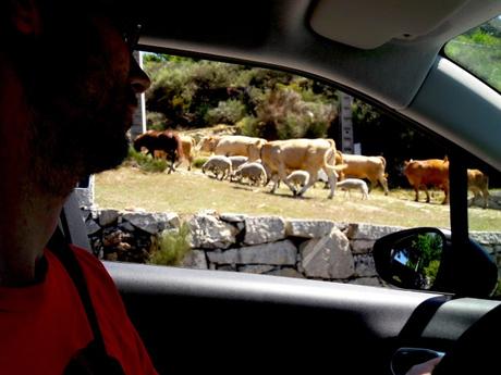 Portogallo, in auto alla scoperta della regione nord Trás-os-Montes Portogallo, in auto alla scoperta della regione nord Trás-os-Montes