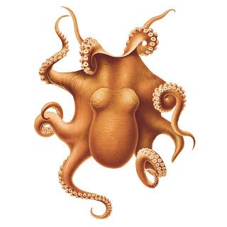 Mostre/ La bellezza della biodiversita' Mostre/ La bellezza della biodiversita'