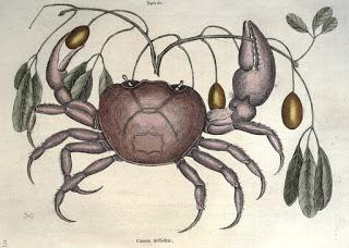 Mostre/ La bellezza della biodiversita' Mostre/ La bellezza della biodiversita'