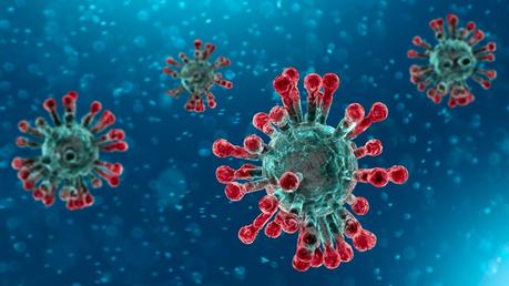 Coronavirus: sospese Atalanta, Verona e Inter | In Lombardia e Veneto è stop allo sport Il virus Coronavirus