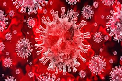 Ultim'ora: il CoronaVirus blocca anche il ciclismo, bloccate le gare importanti Ultim'ora: il CoronaVirus blocca anche il ciclismo, bloccate le gare importanti