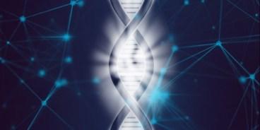 La storia evolutiva dei sardi attraverso lo studio del Dna antico La storia evolutiva dei sardi attraverso lo studio del Dna antico