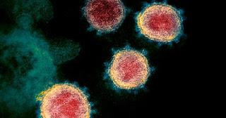 Il nostro quotidiano ai tempi del coronavirus Il nostro quotidiano ai tempi del coronavirus