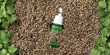 Kiehl's la linea alla Cannabis e Olio di Origano Kiehl's la linea alla Cannabis e Olio di Origano