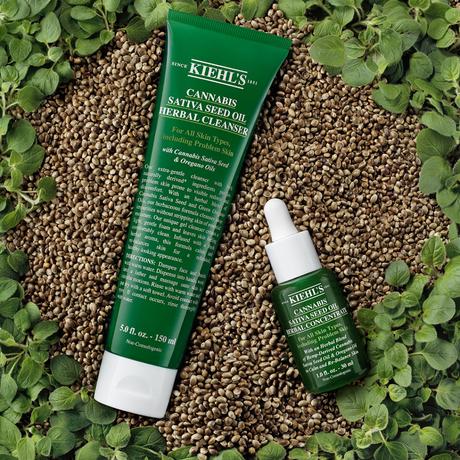 Kiehl's la linea alla Cannabis e Olio di Origano Kiehl's la linea alla Cannabis e Olio di Origano