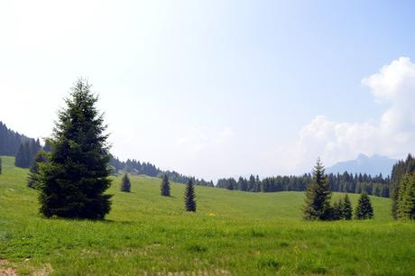 luserna cosa vedere luserna cosa vedere