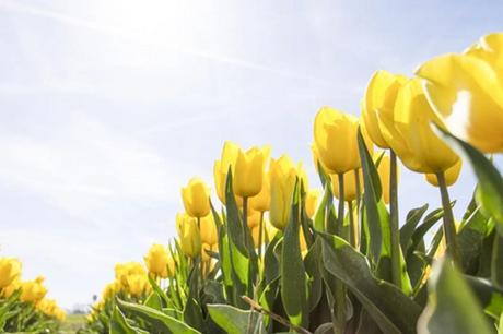 The Top 5 Accessory Trends for Spring 2020 The Top 5 Accessory Trends for Spring 2020