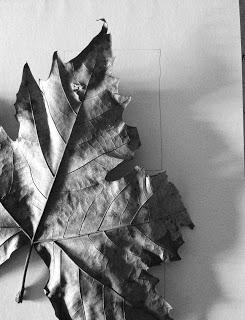 Calcografia (Work in progress) Calcografia (Work in progress)