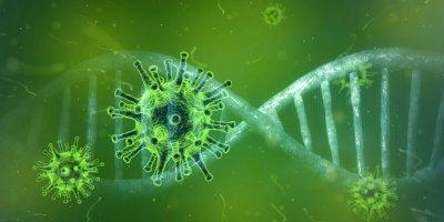 Come distinguere l'infezione da Coronavirus da una Sindrome Virale comune coronavirus
