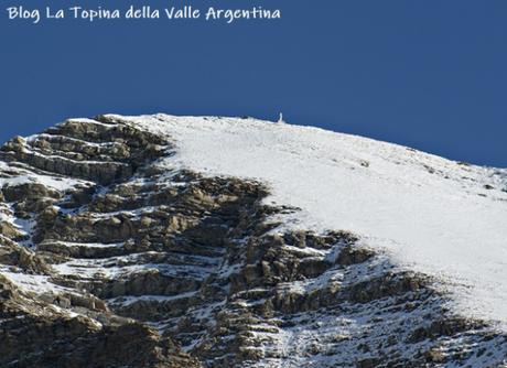 Dal Sentiero dei Piumisti alla Leca Dal Sentiero dei Piumisti alla Leca