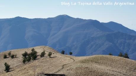 Dal Sentiero dei Piumisti alla Leca Dal Sentiero dei Piumisti alla Leca
