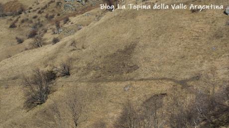 Dal Sentiero dei Piumisti alla Leca Dal Sentiero dei Piumisti alla Leca