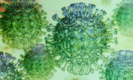 Situazione coronavirus del 20/03/2020 Situazione coronavirus del 20/03/2020