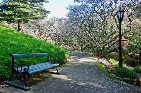 Cosa vedere a Wellington, Nuova Zelanda Cosa vedere a Wellington, Nuova Zelanda
