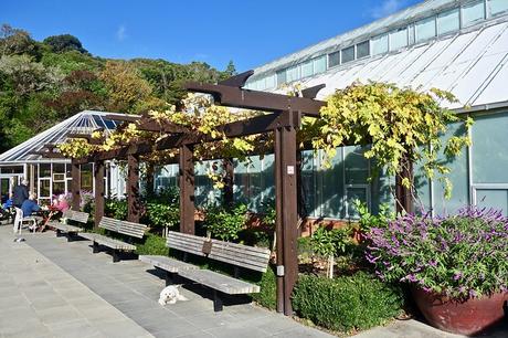 Cosa vedere a Wellington, Nuova Zelanda Cosa vedere a Wellington, Nuova Zelanda