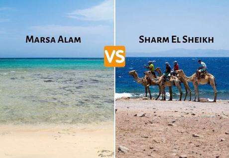 Vacanze in Egitto: Marsa Alam o Sharm El Sheikh? Vacanze in Egitto: Marsa Alam o Sharm El Sheikh?