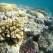 Vacanze in Egitto: Marsa Alam o Sharm El Sheikh? Vacanze in Egitto: Marsa Alam o Sharm El Sheikh?