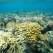 Vacanze in Egitto: Marsa Alam o Sharm El Sheikh? Vacanze in Egitto: Marsa Alam o Sharm El Sheikh?