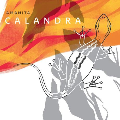 Oggi esce ufficialmente il nuovo disco CALANDRA firmato Amanita (Manitù 2020) Oggi esce ufficialmente il nuovo disco CALANDRA firmato Amanita (Manitù 2020)
