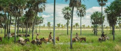 INVISIBILI: ZAMA INVISIBILI: ZAMA