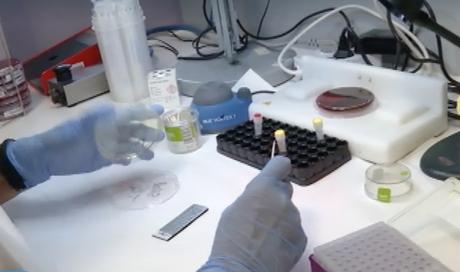 Coronavirus in Campania: scende il trend dei contagi (ma meno tamponi). Oltre 1500 i positivi Coronavirus in Campania: scende il trend dei contagi (ma meno tamponi). Oltre 1500 i positivi