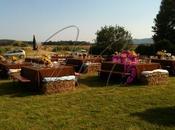 Bollettino guerra...