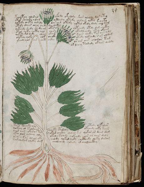 Misteri:Il manoscritto Voynich