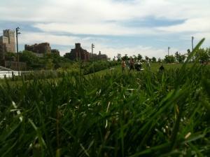 Pic-nic in riva al fiume