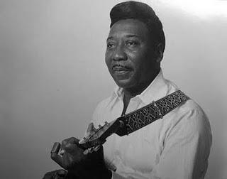 I Grandi del Blues: 46 - Muddy Waters