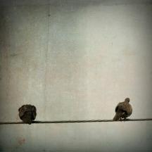 E una vita non basta