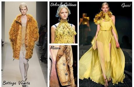 Yellow FW 2011-2012