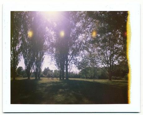 polaroid • 'Roid Week 2011 - day 5