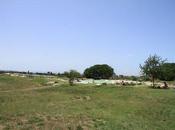 piscine termali Carletti Viterbo