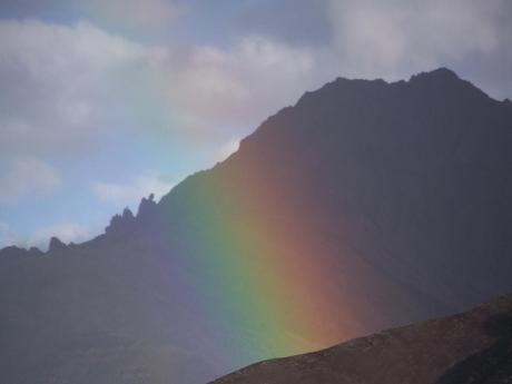 In pericolo d’estinzione una specie vivente su 10