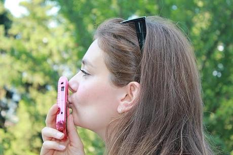 Fucsia and Rock Details