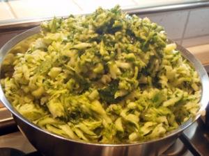 Lasagne alle zucchine