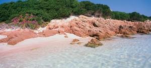 La spiaggia rosa sull’isola di Budelli