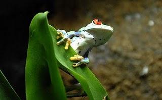 Bioparco by night