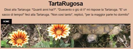 Paolo Ferrario: Blog, Twitter, Facebook, Linkedin Paolo Ferrario: Blog, Twitter, Facebook, Linkedin