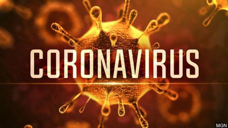 Situazione coronavirus del 29/03/2020 Situazione coronavirus del 29/03/2020