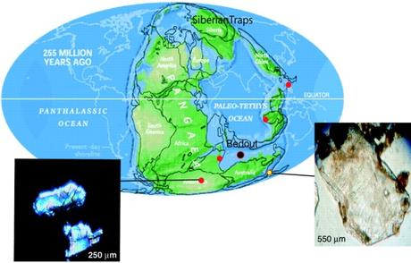 Non solo Chicxulub e dinosauri: Bedout, un grande cratere per la maggiore delle estinzioni di massa Non solo Chicxulub e dinosauri: Bedout, un grande cratere per la maggiore delle estinzioni di massa