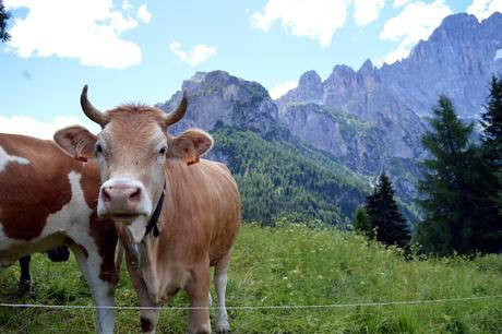 escursioni trekking dolomiti escursioni trekking dolomiti